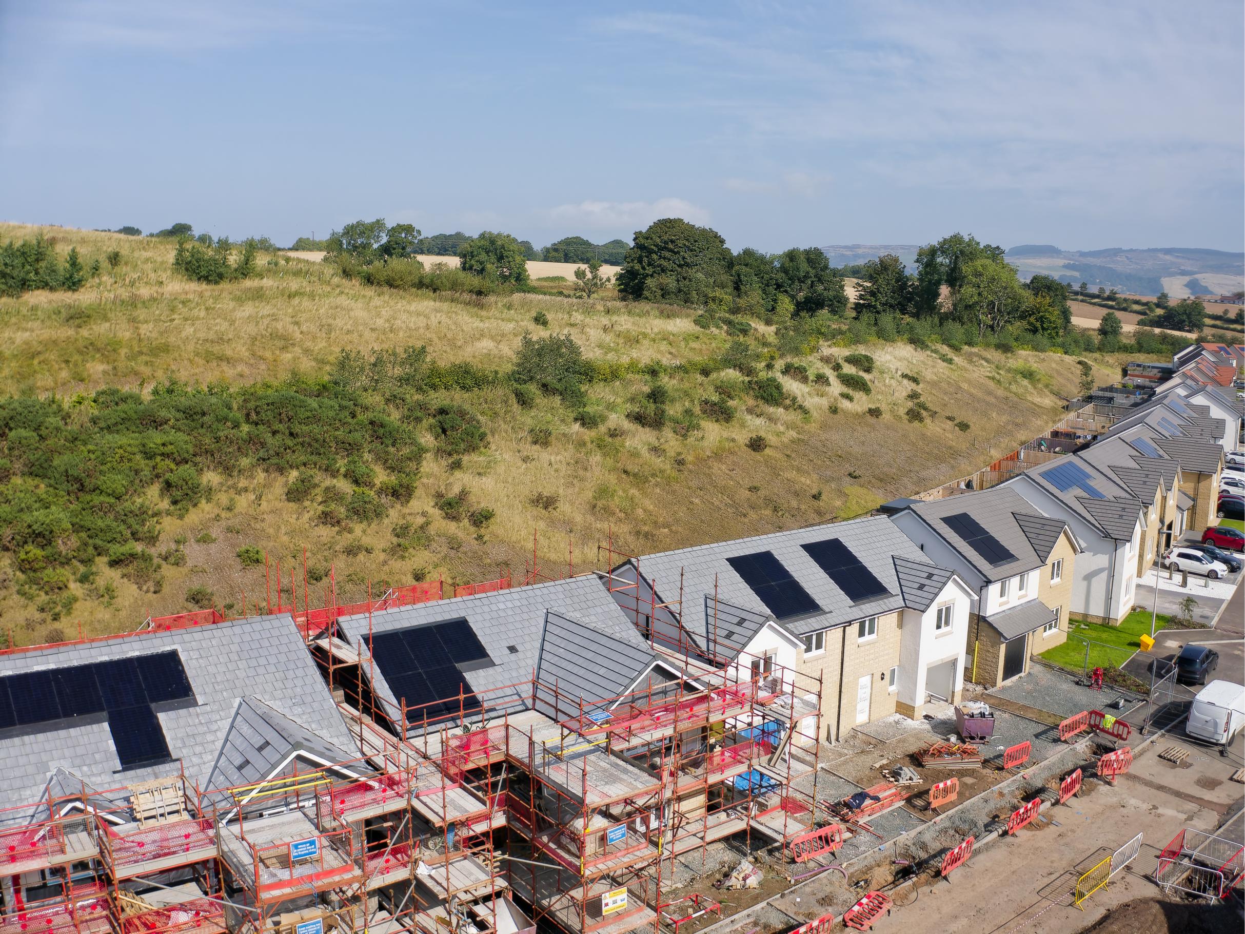 The Future of Green Homes
