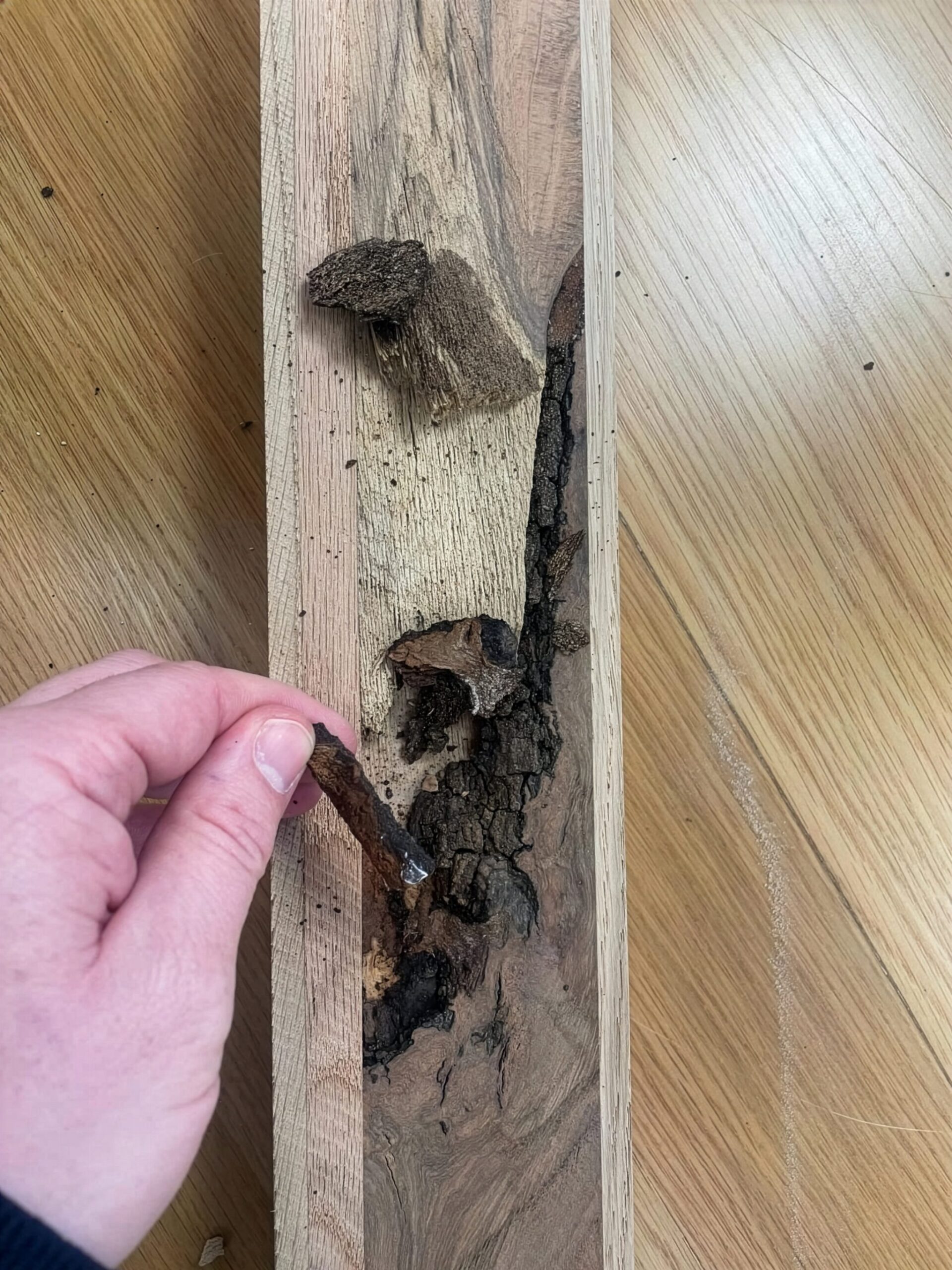 Poor quality timber